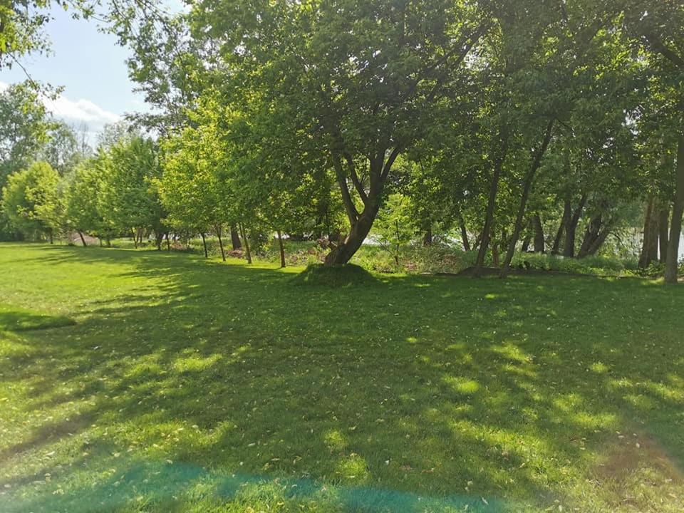 Pensiunea Lunca Αράντ Εξωτερικό φωτογραφία
